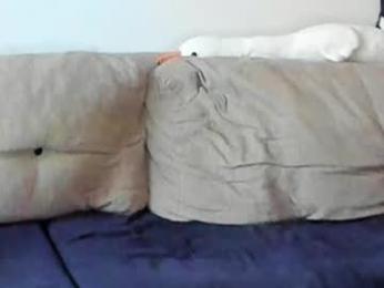 ostin_meoww webcam model stream image