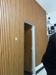 Patricio_02 webcam model stream image