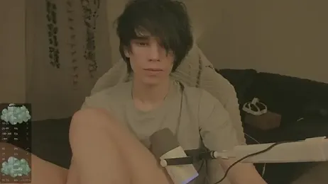 Wampeyes webcam model stream image