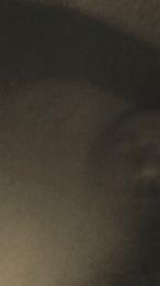 diego441 webcam model stream image