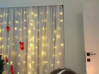 mona_elisa webcam model stream image