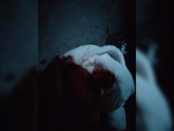 sluska1 webcam model stream image