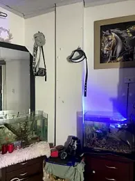 CRAZY-BOY99 webcam model stream image