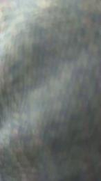 Daca5001 webcam model stream image