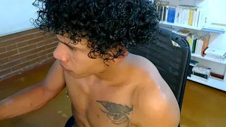 Aronbbc webcam model stream image