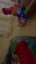 clovise233 webcam model stream image