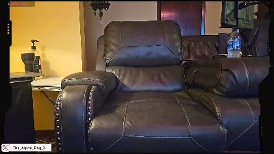 The_Alpha_Dog webcam cam4 model stream image