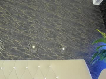 maya_lisa webcam model stream image