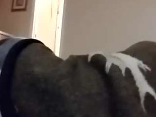 ffiranek89 webcam model stream image