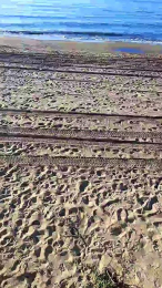 Bruno_Montoya webcam model stream image