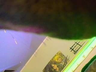 starryari69 webcam model stream image