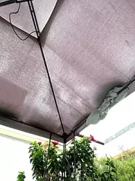 KloePink_ webcam model stream image