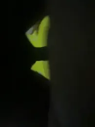 sexy_nudecouples143 webcam stripchat model stream image