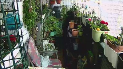 sweetnude83 webcam cam4 model stream image