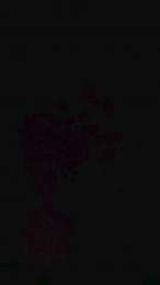 Vasgabri07 webcam model stream image