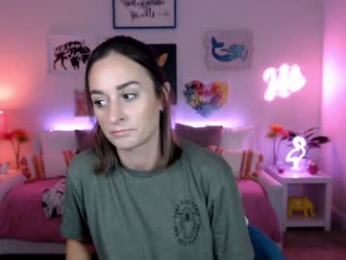 holihurricane webcam model stream image