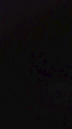 Geolau webcam model stream image