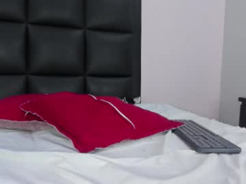 2_fire webcam model stream image