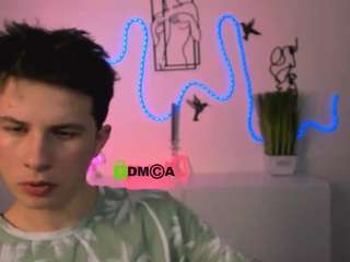 mister-vice webcam model stream image