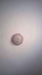 Superporcona40 webcam cam4 model stream image
