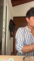 Vittoelpadrino webcam model stream image