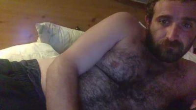 bert0bearbaby webcam model stream image
