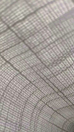 polli_play webcam model stream image