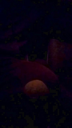 uncutcockitaly webcam cam4 model stream image