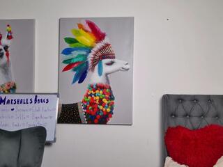 Marshall Sin webcam model stream image