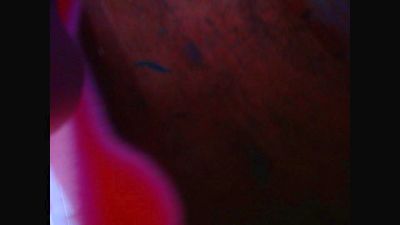 draconia25 webcam model stream image