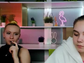 veri_ni webcam model stream image