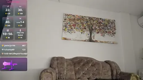 Blum_icee webcam model stream image