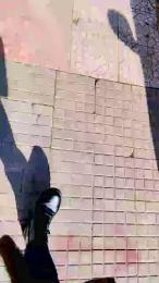 Wandaalysony9 webcam model stream image