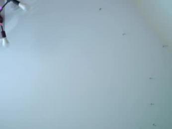 lunatouch webcam model stream image