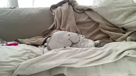 18yoteenvirgin webcam stripchat model stream image