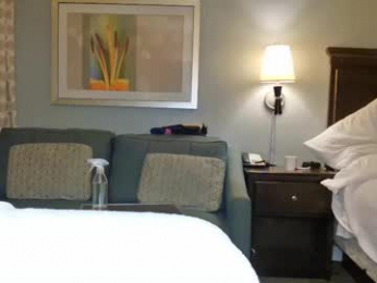 tsbellaflor webcam chaturbate model stream image