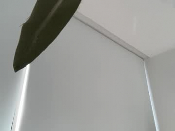 oliviabrookess webcam model stream image