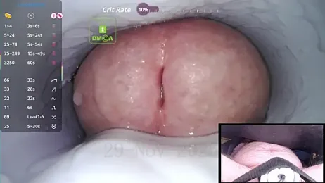 controlmytoys webcam model stream image