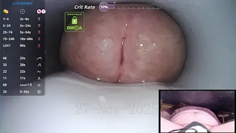 controlmytoys webcam model stream image