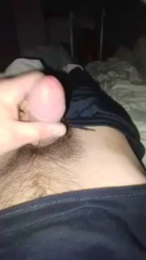 bongars21 webcam cam4 model stream image