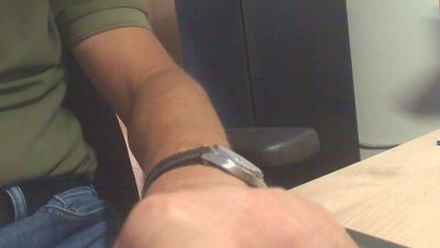Hohlb webcam model stream image