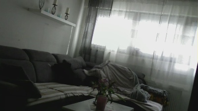 pimmelmann3 webcam model stream image