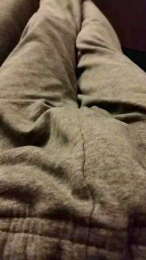 Lizard3 webcam cam4 model stream image