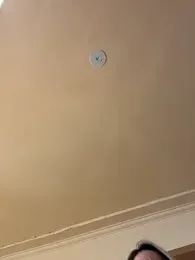 Gatitacarlita webcam model stream image