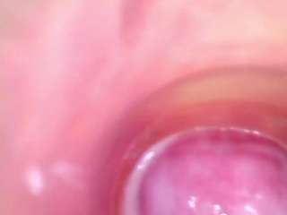 shannon-kane webcam model stream image