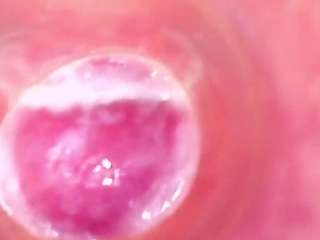 shannon-kane webcam model stream image