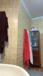 pedrito_6 webcam model stream image