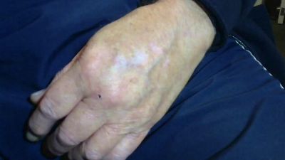 punt1 webcam cam4 model stream image