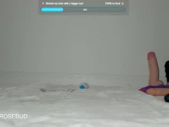 mickeyrosebud webcam model stream image