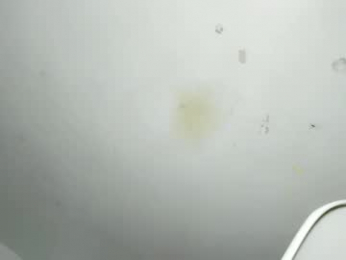 shivani_ooohhlala webcam model stream image